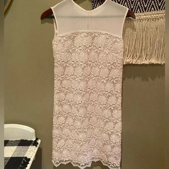 REISS SHANFORD SUGAR LACE LIGHT PINK DRESS SIZE 0 - Picture 11 of 11